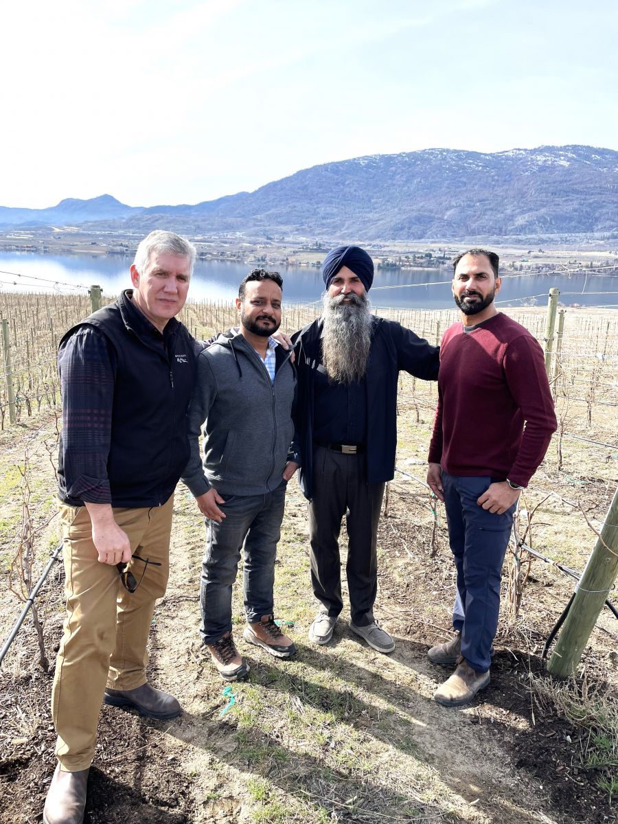 <who>Photo credit: Steve MacNaull/NowMedia Group</who>At Vineyard Eleven in Osoyoos, from left, Hester Creek president Mark Sheridan, vineyard manager Iqbal Gill and grape growers and brothers, Sukhi and Balwinder Dhaliwal.