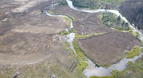 Investigation into major habitat destruction along BC rivers results in $545K in fines